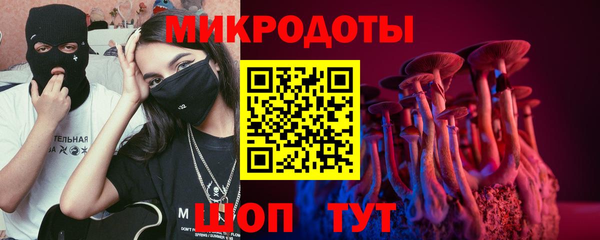 Псилоцибиновые грибы MAGIC MUSHROOMS  Вход с VPN  Чайковский  Галлюциногенные грибы Psilocybe 
